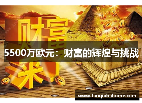 5500万欧元：财富的辉煌与挑战