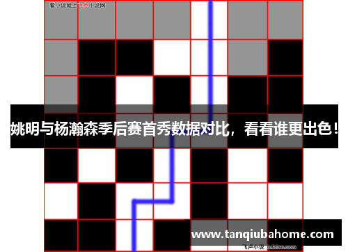 姚明与杨瀚森季后赛首秀数据对比，看看谁更出色！